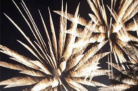 Tracas: Tradición y Alegría en Cada Fiesta