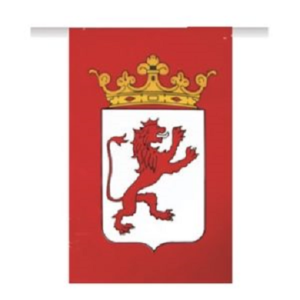 Bandera Plástico León 20×30 CM, 50 MTS