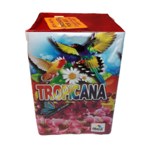 Fuente Tropicana